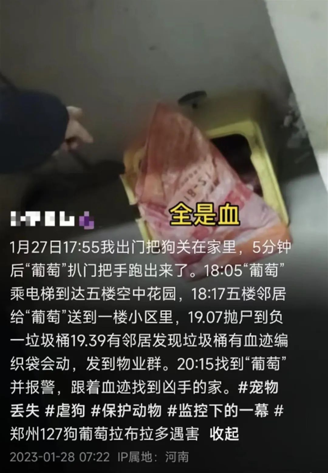 wz3lxucqnKCWWYxU.jpg