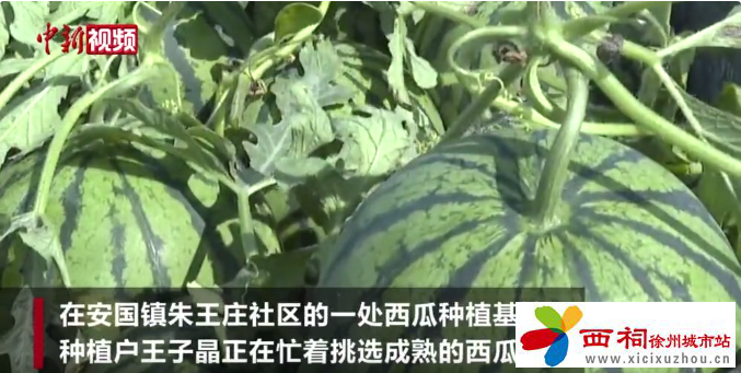 微信图片_20240423105210.png