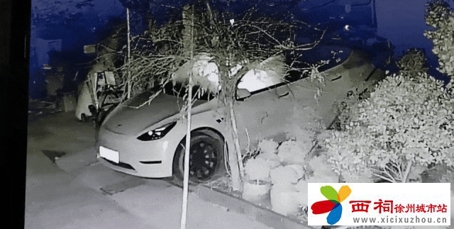 4.gif