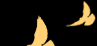 15.png