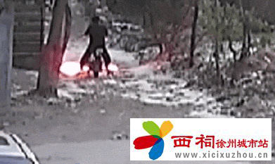 7.gif