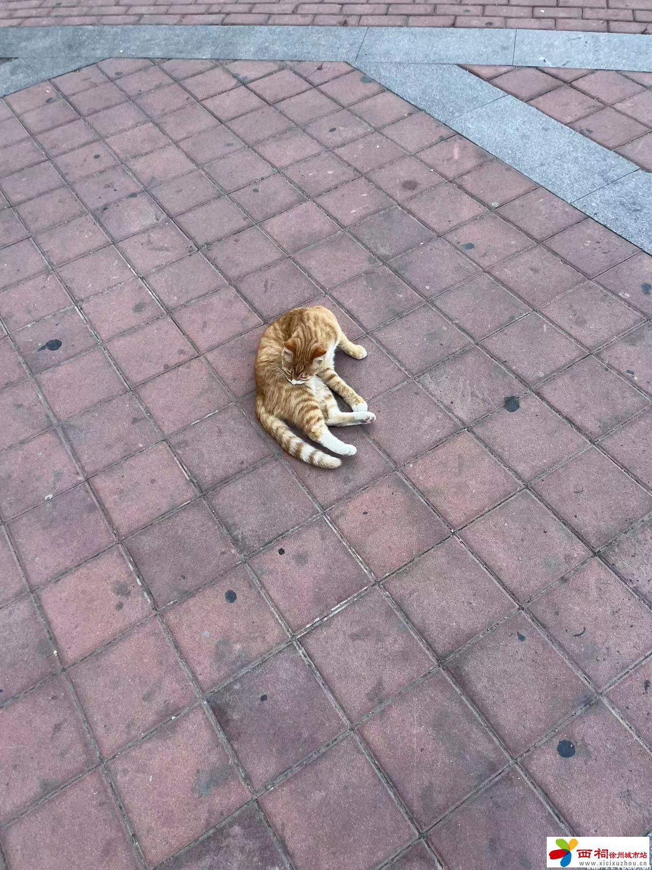 微信图片_20240528093109.jpg