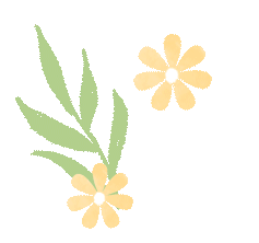 58.gif