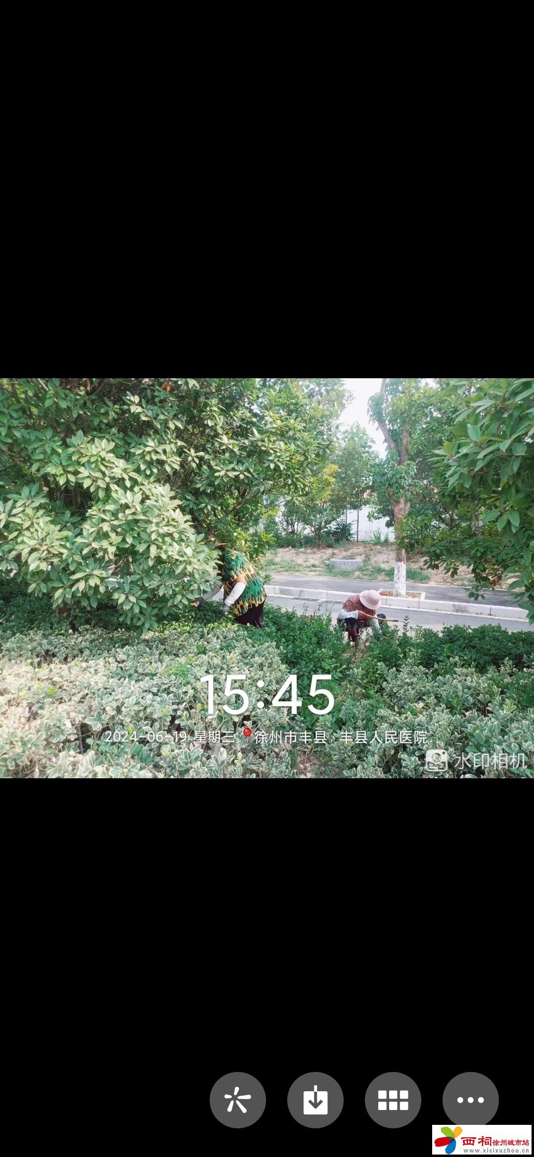 14.jpeg