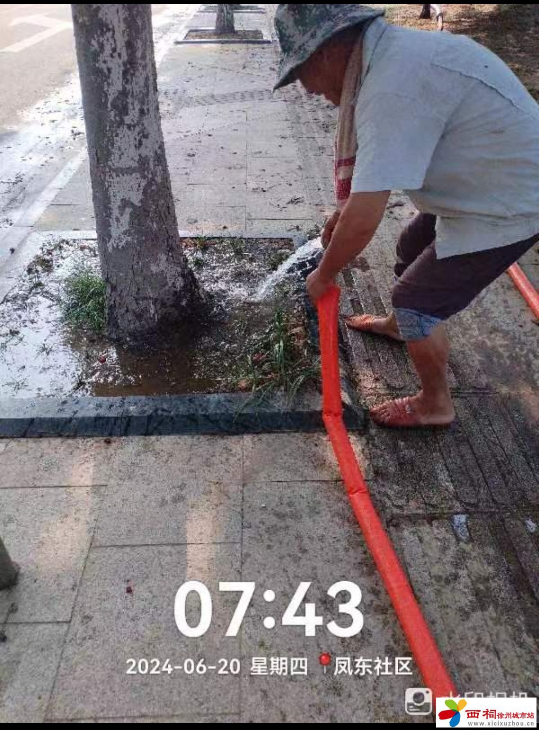 3.jpeg