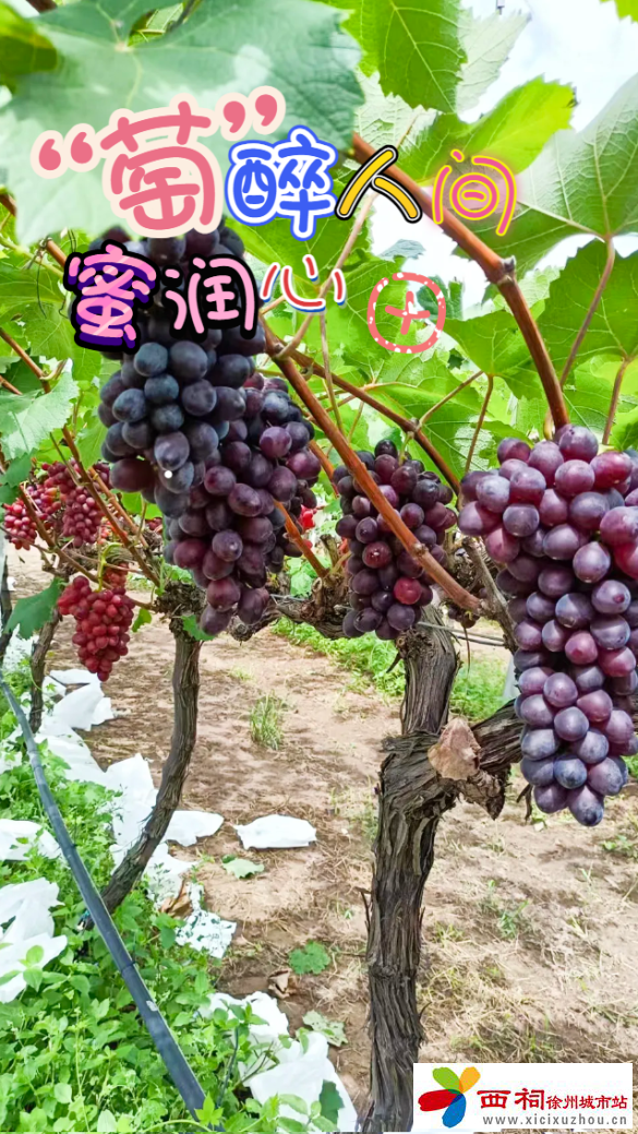 6.png