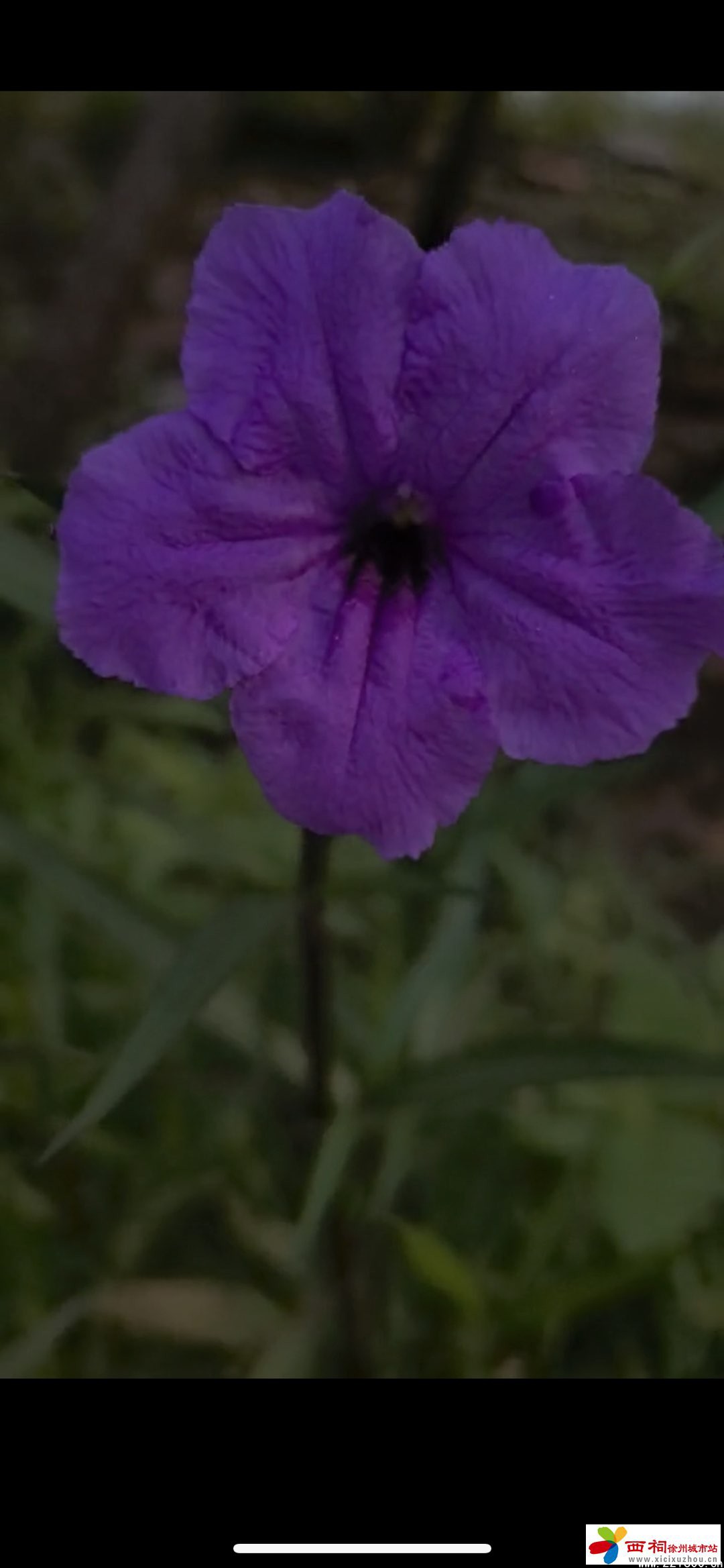 20240710091445front1_0_355844_FnO331FJDtYGFg5kpPR0Zq4QK2ac.jpg