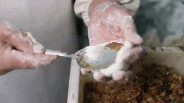 2.gif