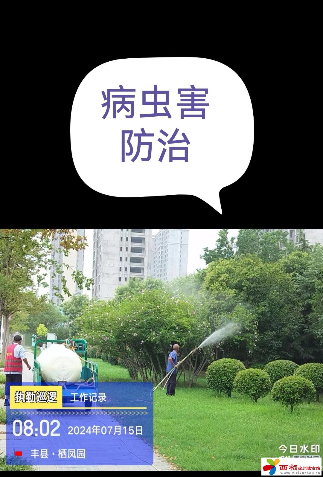 3.jpeg