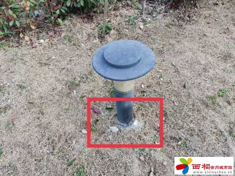 3.jpeg