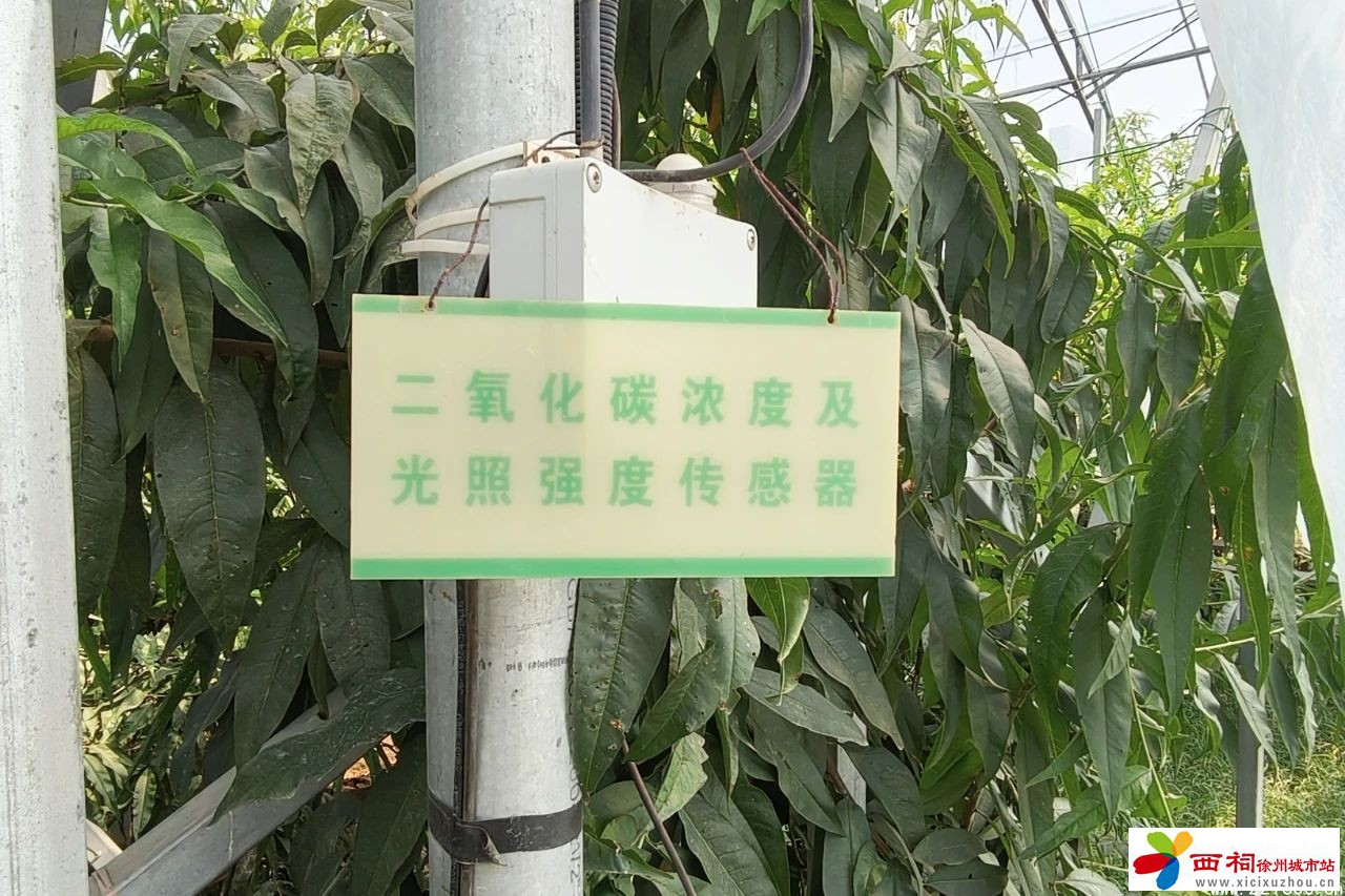 微信图片_20240814114818.jpg