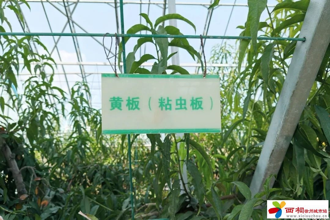 微信图片_20240814114832.jpg