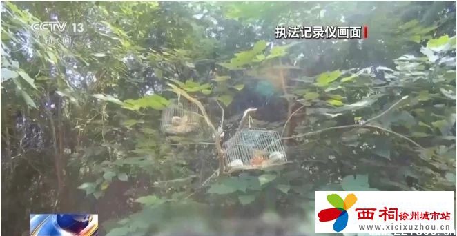 微信图片_20240826153547.jpg