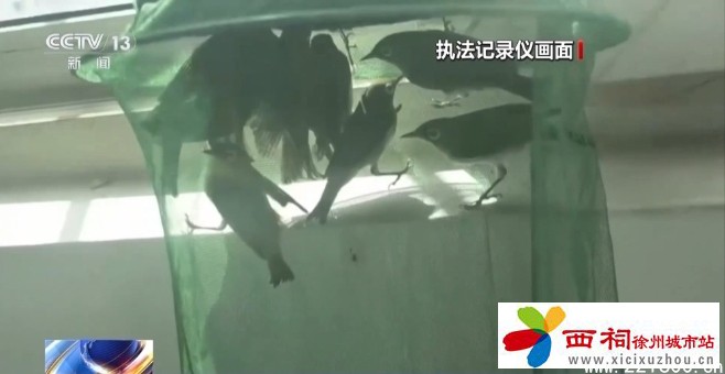 微信图片_20240826153550.jpg