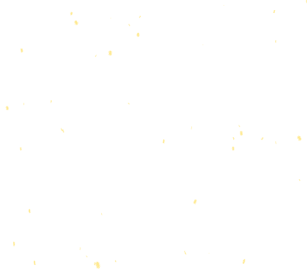 5.gif