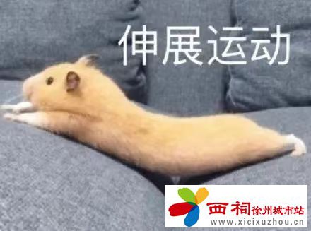 微信图片_20240830143315.jpg
