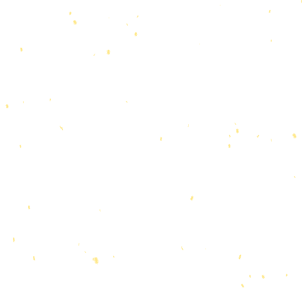2.gif