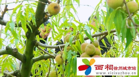 微信图片_20241121095856.jpg