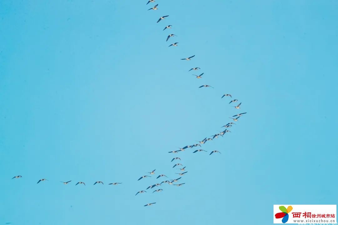 6821697ed40dc069483e347114632f63.jpg