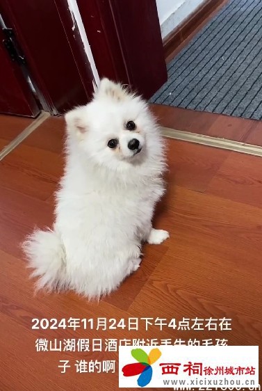 微信图片_20241125085609.jpg