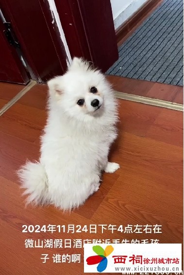 微信图片_20241125085606.jpg