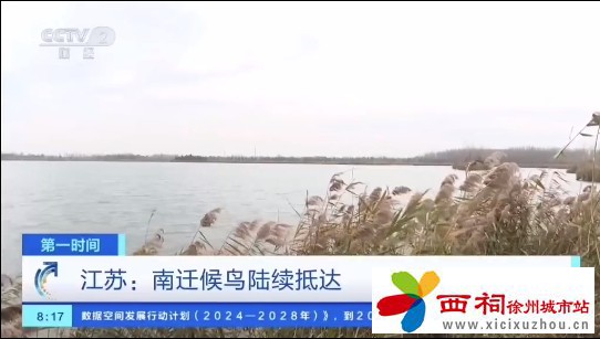 微信图片_20241125095331.jpg