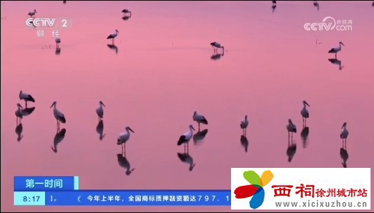 微信图片_20241125095337.jpg
