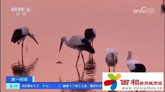 微信图片_20241125095340.jpg