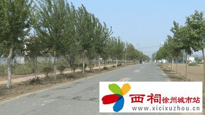 微信图片_20241221153853.jpg