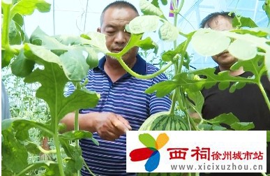 微信图片_20241223154306.jpg