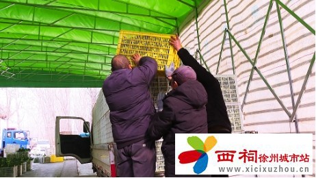 微信图片_20241226165441.jpg