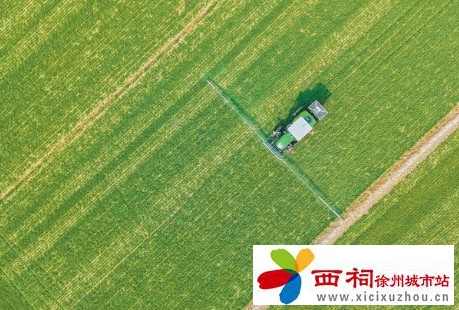 微信图片_20250218090954.jpg