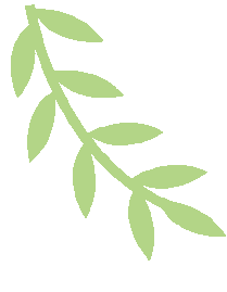 5.gif