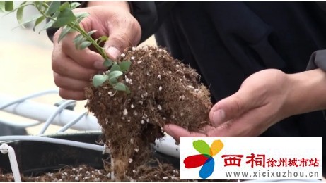 微信图片_20250304142002.jpg