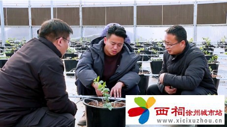 微信图片_20250304142006.jpg
