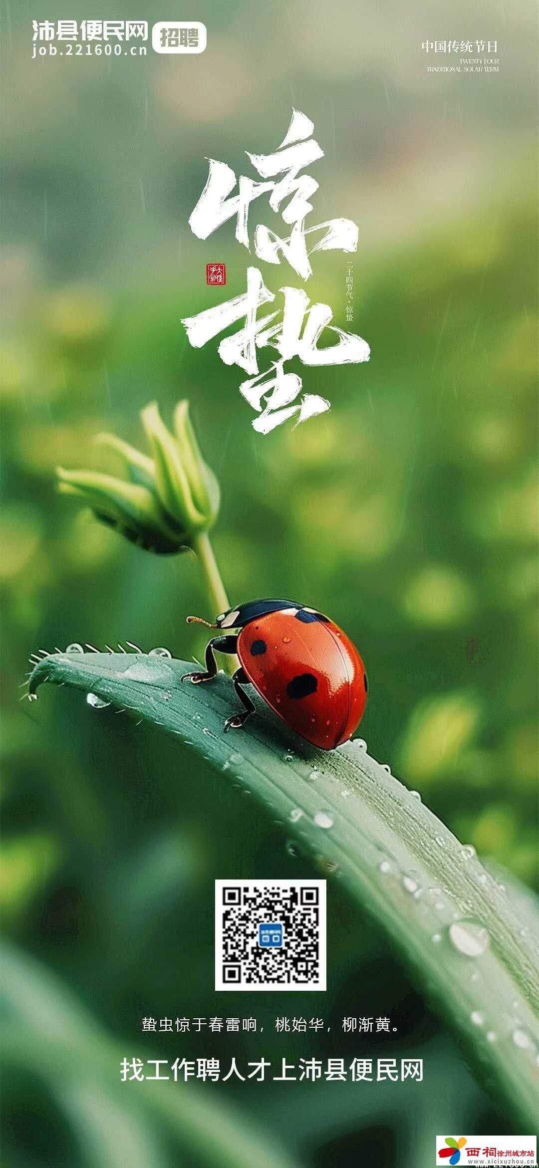 微信图片_20250305090552.jpg