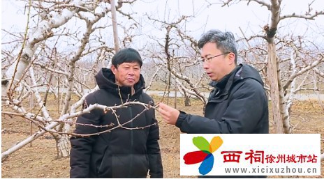 微信图片_20250309153407.jpg
