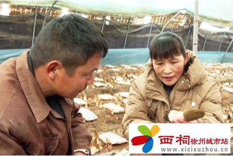 微信图片_20250310142617.jpg