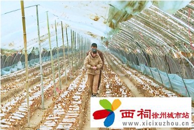 微信图片_20250310142620.jpg