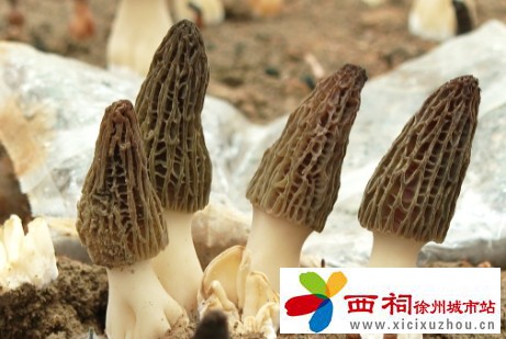 微信图片_20250310142627.jpg