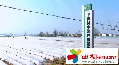微信图片_20250312094711.jpg