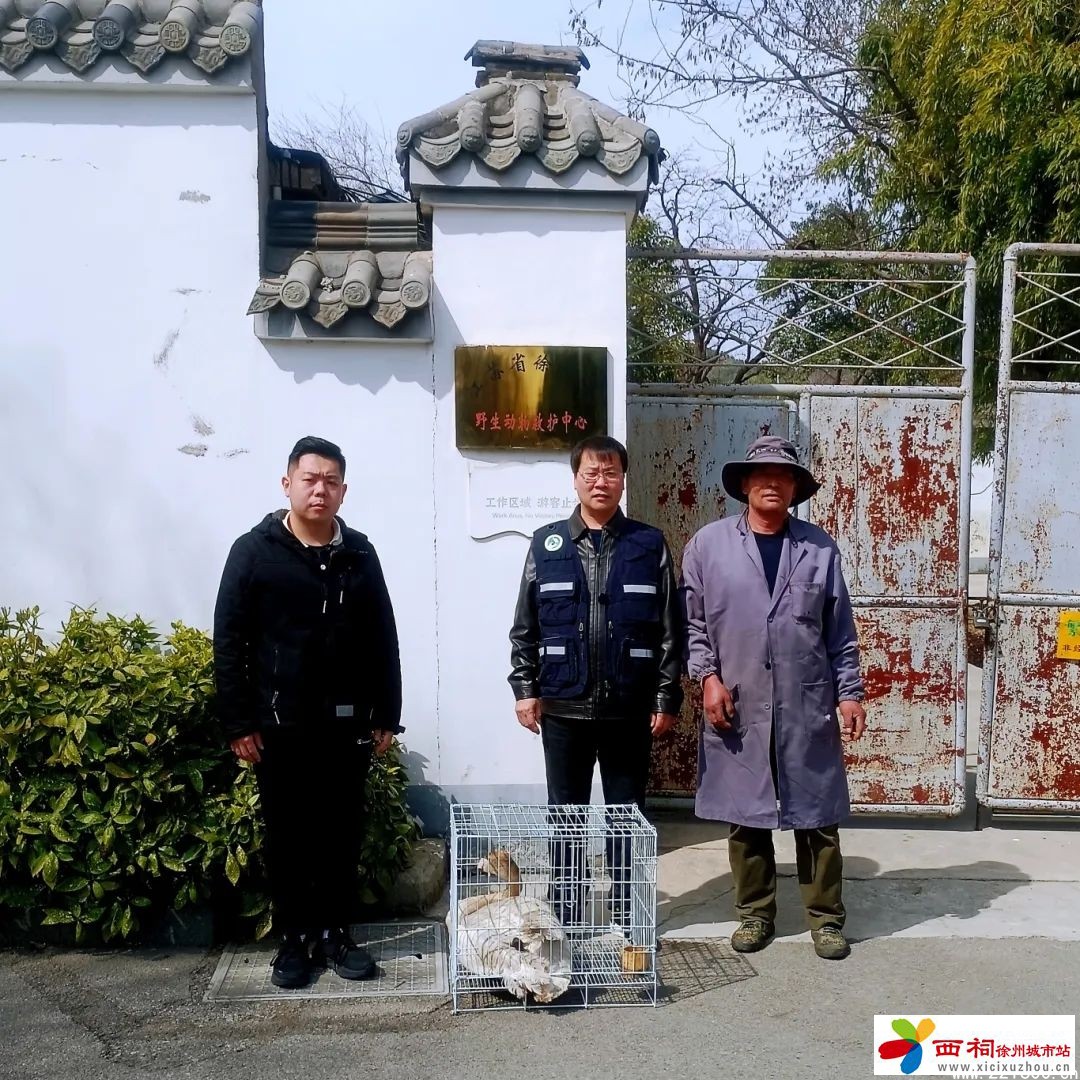 微信图片_20250318145210.jpg