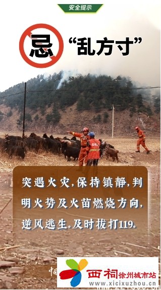 微信图片_20250325144103.jpg