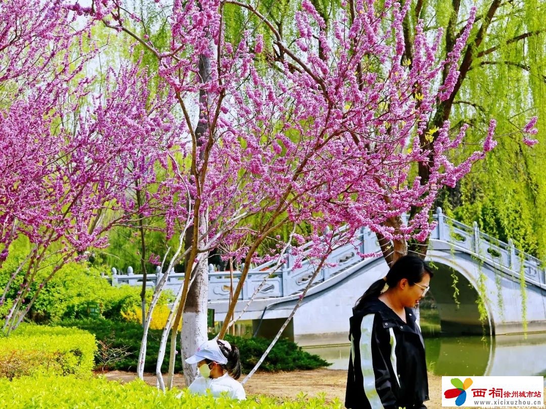 微信图片_20250402161350.jpg