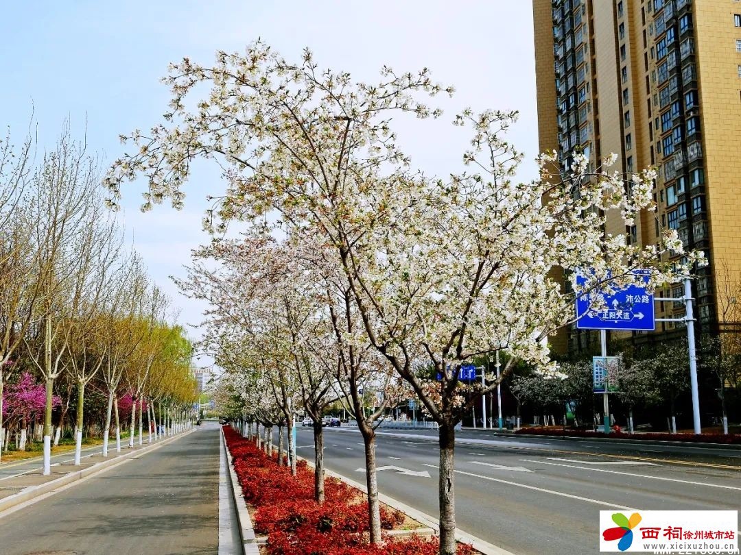 微信图片_20250402161426.jpg