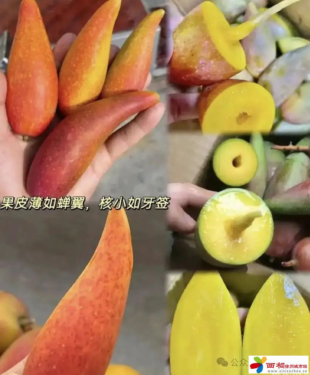 微信图片_20250407113958.jpg
