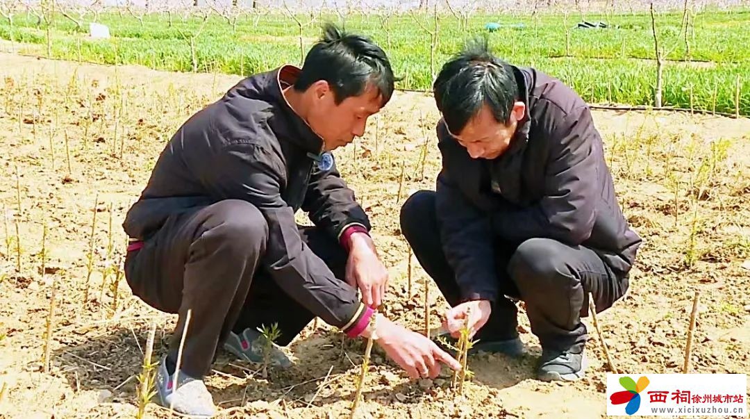 微信图片_20250409161936.jpg