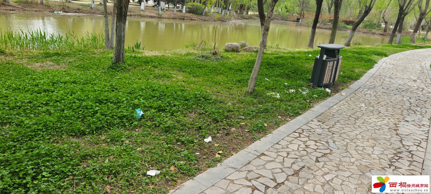 IMG_20250407_121745.jpg