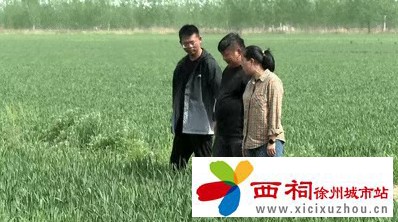 微信图片_20250418094724.jpg