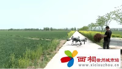 微信图片_20250418094721.jpg